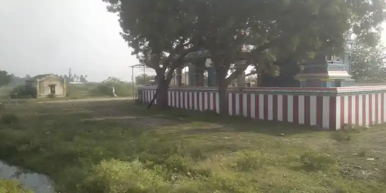 Arulmigu Amachiyar Temple, Near Kanmai, Thachagudi - 626138 அருள்மிகு அமச்சியார் திருக்கோயில், கண்மாய் அருகில், தச்சகுடி கிராமம் - 626138, Virudhunagar - Ancient Temple Architecture and History Image 7