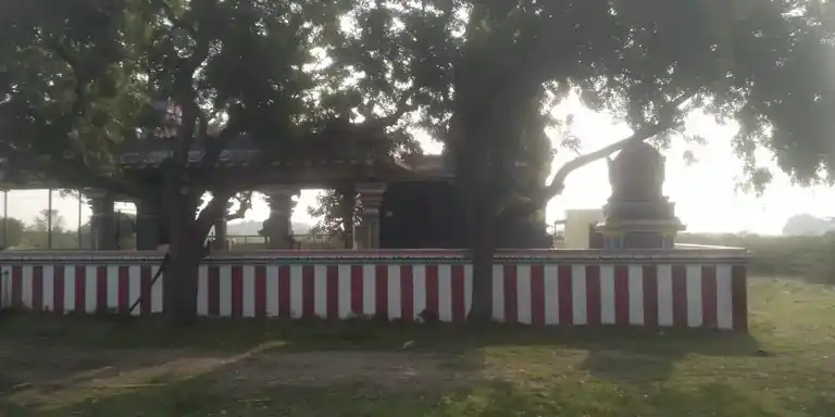 Arulmigu Amachiyar Temple, Near Kanmai, Thachagudi - 626138 அருள்மிகு அமச்சியார் திருக்கோயில், கண்மாய் அருகில், தச்சகுடி கிராமம் - 626138, Virudhunagar - Ancient Temple Architecture and History Image 8