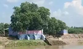 Arulmigu Amachiyar Temple, Near Urani, Valayankulam - 626149 அருள்மிகு அம்மாச்சியார் திருக்கோயில், ஊரணி அருகில், வலையன்குளம் - 626149, Virudhunagar - Ancient Temple Architecture and History Image 3