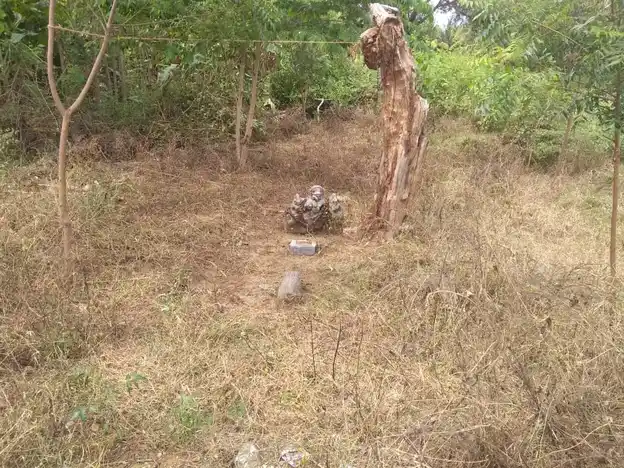 Arulmigu Amaradagi Ayyanar Temple, Shinnailanthaikulam - 625503