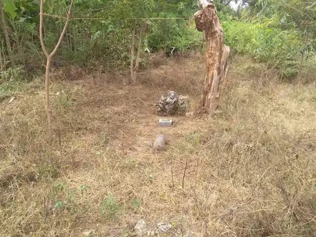 Arulmigu Amaradagi Ayyanar Temple, Shinnailanthaikulam - 625503 அருள்மிகு அமரடக்கி அய்யனார் திருக்கோயில், Shinnailanthaikulam, Shinnailanthaikulam - 625503, Madurai - Ancient Temple Architecture and History Image 2