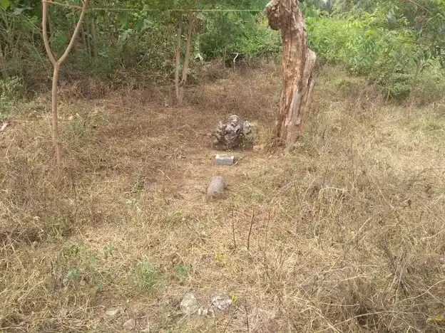 Arulmigu Amaradagi Ayyanar Temple, Shinnailanthaikulam - 625503 அருள்மிகு அமரடக்கி அய்யனார் திருக்கோயில், Shinnailanthaikulam, Shinnailanthaikulam - 625503, Madurai - Ancient Temple Architecture and History Image 3