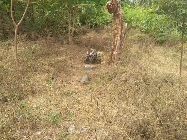 Arulmigu Amaradagi Ayyanar Temple, Shinnailanthaikulam - 625503 அருள்மிகு அமரடக்கி அய்யனார் திருக்கோயில், Shinnailanthaikulam, Shinnailanthaikulam - 625503, Madurai - Ancient Temple Architecture and History Image 4