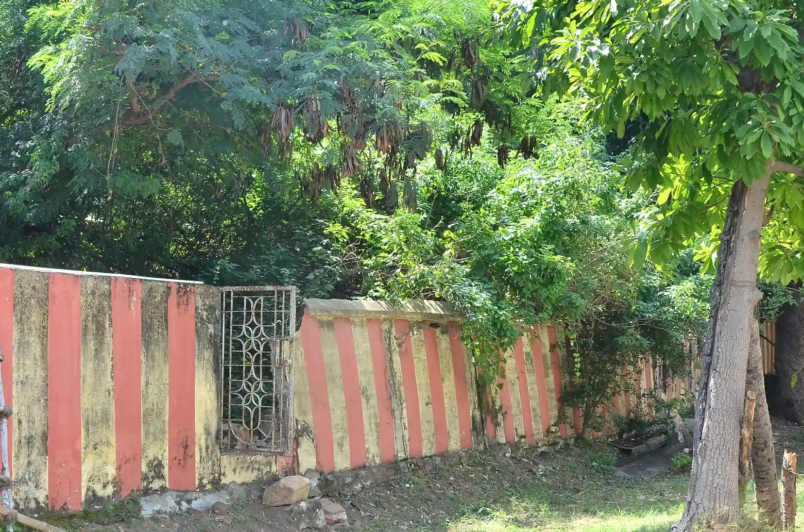 Arulmigu Amaranantheswarar Temple, Nagapattinam - 611001 அருள்மிகு அமரநந்தீஸ்வரர் திருக்கோயில், நாகப்பட்டினம் - 611001, Nagapattinam - Ancient Temple Architecture and History Image 2