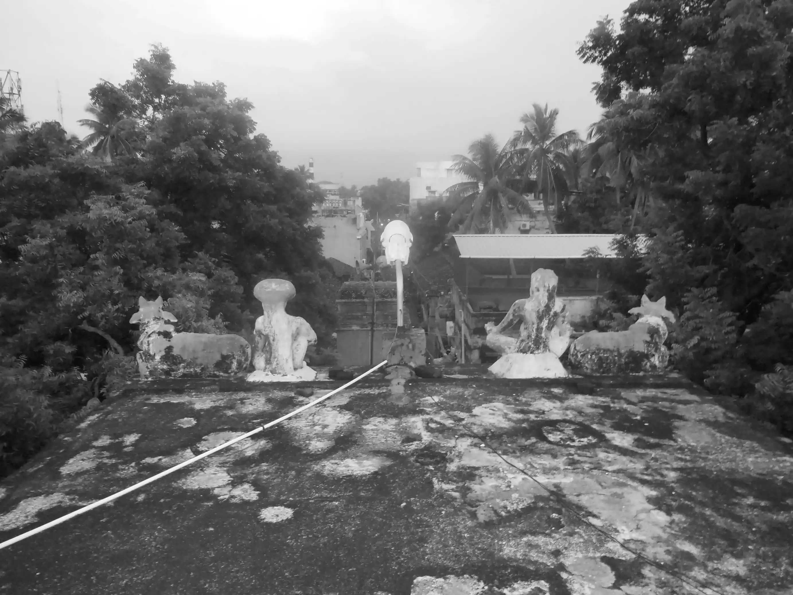 Arulmigu Amaranantheswarar Temple, Nagapattinam - 611001 அருள்மிகு அமரநந்தீஸ்வரர் திருக்கோயில், நாகப்பட்டினம் - 611001, Nagapattinam - Ancient Temple Architecture and History Image 4