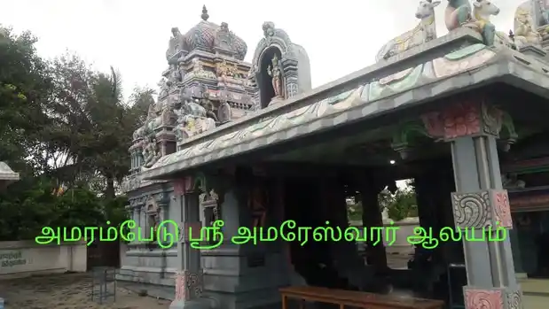 Arulmigu Amareshwarar Temple, Ammrampadu - 600069 அருள்மிகு அமரேஸ்வரர் திருக்கோயில், Ammrampadu - 600069, Kancheepuram - Ancient Temple Architecture and History Image 3