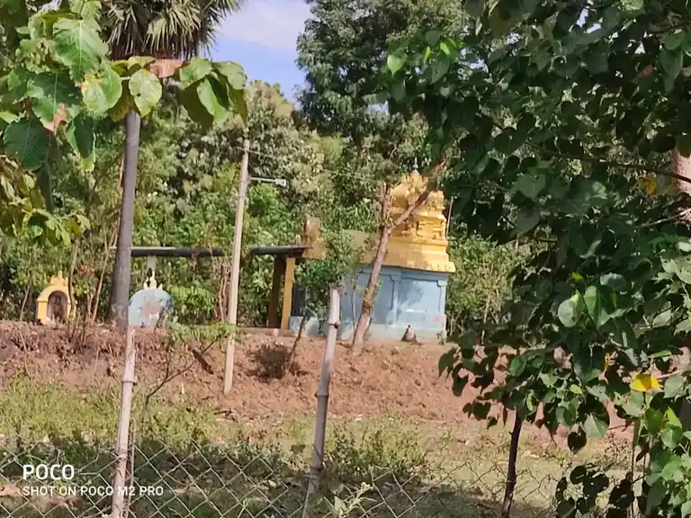 Arulmigu Amarthalaamman Temple, Alamelupuram Poondi - 613104 அருள்மிகு அமர்ந்தாளம்மன் திருக்கோயில், Alamelupuram Poondi - 613104, Thanjavur - Ancient Temple Architecture and History Image 3