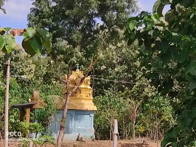 Arulmigu Amarthalaamman Temple, Alamelupuram Poondi - 613104 அருள்மிகு அமர்ந்தாளம்மன் திருக்கோயில், Alamelupuram Poondi - 613104, Thanjavur - Ancient Temple Architecture and History Image 4