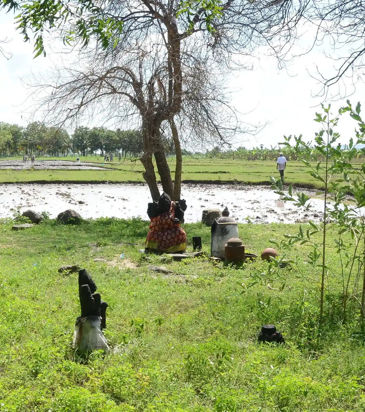 Arulmigu Amatchiar Temple, Vellappotal, Vellappotal - 626607 Temple