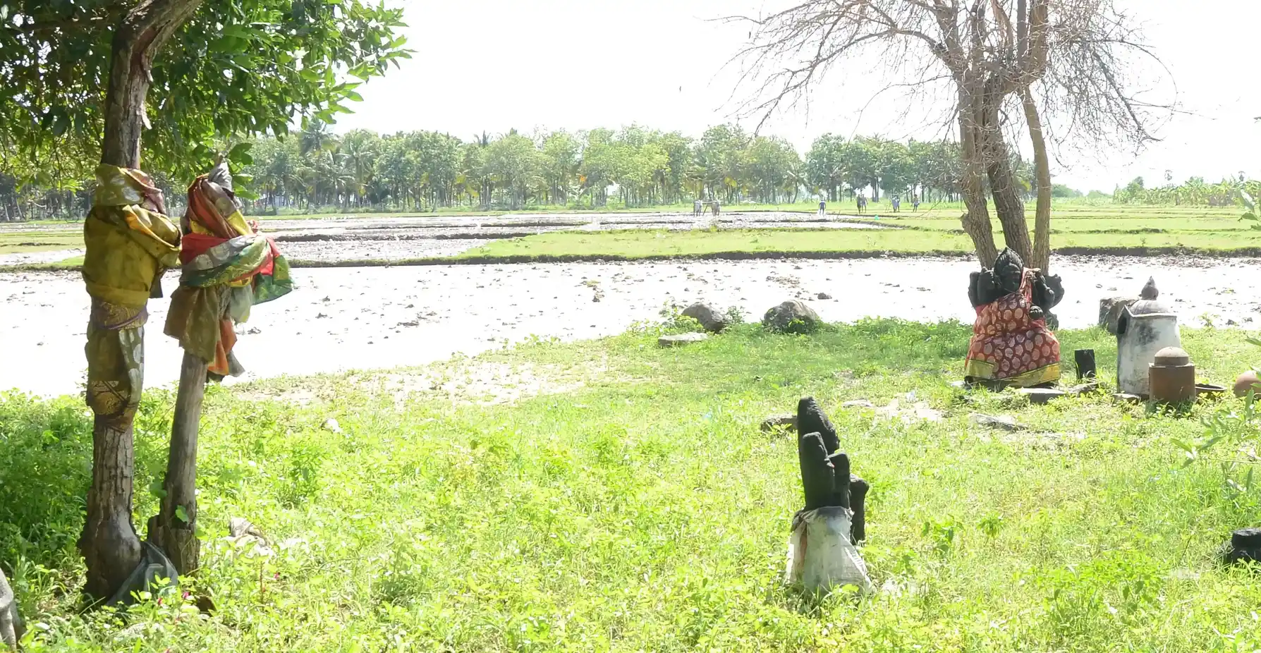 Arulmigu Amatchiar Temple, Vellappotal, Vellappotal - 626607 அருள்மிகு அம்மச்சியார் திருக்கோயில், வெள்ளப்பொட்டல், Vellappotal - 626607, Virudhunagar - Ancient Temple Architecture and History Image 2