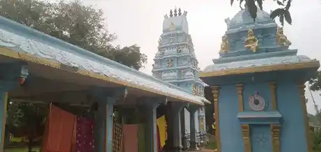 Arulmigu Ambal Temple, Panavilai - 629251 அருள்மிகு அம்பாள் திருக்கோயில், Panavilai - 629251, Kanyakumari - Ancient Temple Architecture and History Image 4