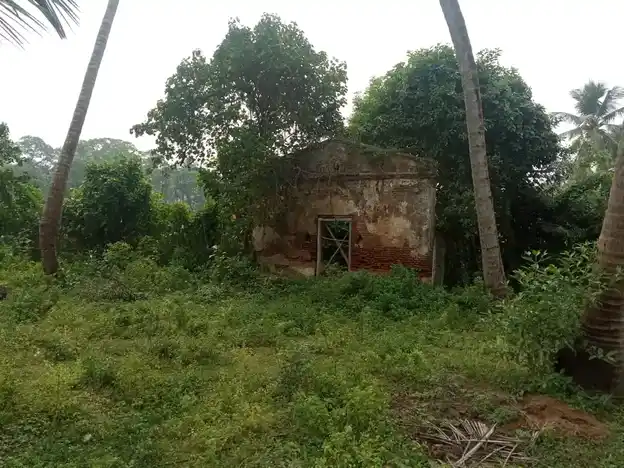 Arulmigu Ambigaveerupachi Madam, Mela Thirupanthurithi - 613103 அருள்மிகு அம்பிகா விருப்பாட்சித்தேவர் மடம், Mela Thirupanthurithi, Mela Thirupanthurithi - 613103, Thanjavur - Ancient Temple Architecture and History Image 4