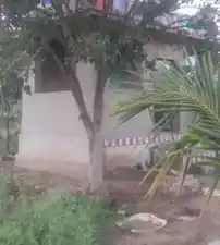 Arulmigu Amirtha Sanjeevi Vinayagar Temple, Valaikulam Mamsapuram, Valakulam - 626124 அருள்மிகு அமிர்த சஞ்சீவி விநாயகர் திருக்கோயில், வாழைக்குளம் மம்சாபுரம், வாழைக்குளம் - 626124, Virudhunagar - Ancient Temple Architecture and History Image 3