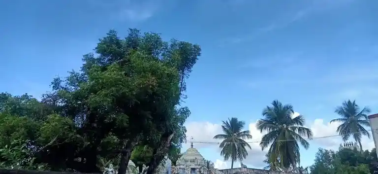 Arulmigu Amirthakadeswarar Temple, Mathukur Vadakku - 614903 அருள்மிகு அமிர்தகடேஸ்வரர் திருக்கோயில், Mathukur Vadakku - 614903, Thanjavur - Ancient Temple Architecture and History Image 4