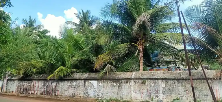 Arulmigu Amirthakadeswarar Temple, Mathukur Vadakku - 614903 அருள்மிகு அமிர்தகடேஸ்வரர் திருக்கோயில், Mathukur Vadakku - 614903, Thanjavur - Ancient Temple Architecture and History Image 5