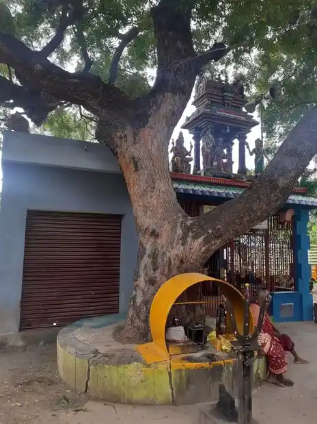 Arulmigu Amirthavazhiyamman Temple, T.Panapakkam - 605601 அருள்மிகு அமர்ந்தவாழியம்மன் திருக்கோயில், T.Panapakkam - 605601, Viluppuram - Ancient Temple Architecture and History Image 4