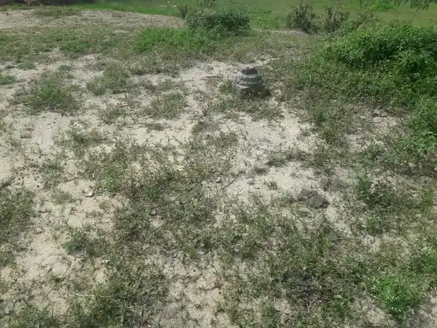 Arulmigu Ammacciyar Temple, Ponnamangalam - 625706