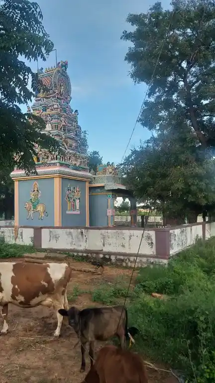 Arulmigu Ammacciyaramman Pattatharasai Amman, Sellandiamman Temple, Vilampatti - 625532 அருள்மிகு அம்மச்சியாரம்மன், பட்டத்தரசியம்மன் bல்லாண்டியம்மன் திருக்கோயில், Vilampatti - 625532, Madurai - Ancient Temple Architecture and History Image 5