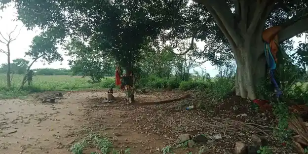 Arulmigu Ammachaiyar Temple, M.Sengulam - 625706 Temple