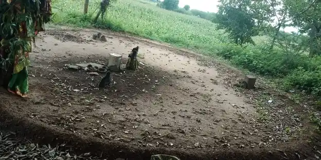 Arulmigu Ammachaiyar Temple, M.Sengulam - 625706 Arulmigu Ammachaiyar Temple, M.Sengulam - 625706, Madurai - Ancient Temple Architecture and History Image 4
