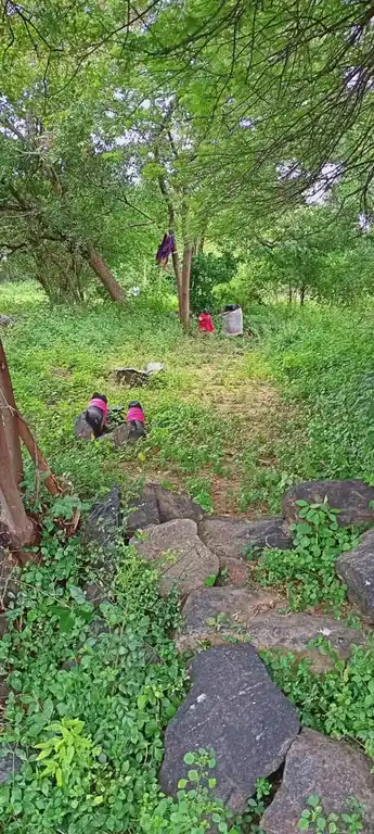 Arulmigu Ammachar Temple, Ariyalurthirukkai - 605402 Temple