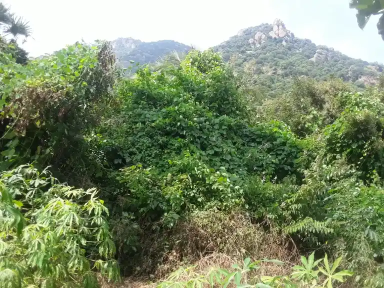 Arulmigu Ammachar Temple, Ariyalurthirukkai - 605402 Arulmigu Ammachar Temple, அரியலுர்திருக்கை - 605402, Viluppuram - Ancient Temple Architecture and History Image 3