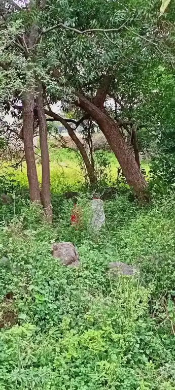 Arulmigu Ammachar Temple, Ariyalurthirukkai - 605402 Arulmigu Ammachar Temple, அரியலுர்திருக்கை - 605402, Viluppuram - Ancient Temple Architecture and History Image 4