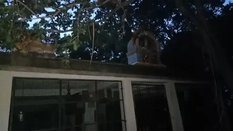 Arulmigu Ammachar Temple, Kaatu Edaiyar - 605751 Arulmigu Ammachar Temple, Kaatu Edaiyar - 605751, Kallakurichi - Ancient Temple Architecture and History Image 7