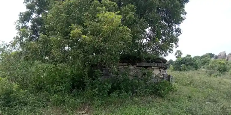 Arulmigu Ammachar Temple, Maathur Thirukai - 606207 அருள்மிகு அம்மச்சார் திருக்கோயில், Maathur Thirukai - 606207, Viluppuram - Ancient Temple Architecture and History Image 5