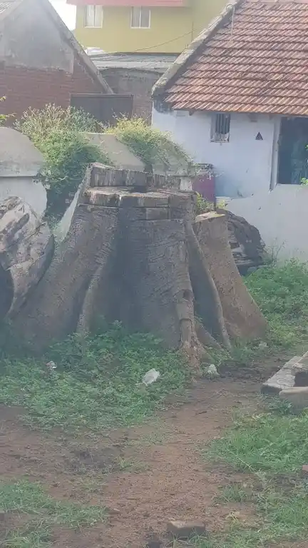 Arulmigu Ammachar Temple, Melpallipattu - 606703 Arulmigu Ammachar Temple, Melpallipattu - 606703, Tiruvannamalai - Ancient Temple Architecture and History Image 6