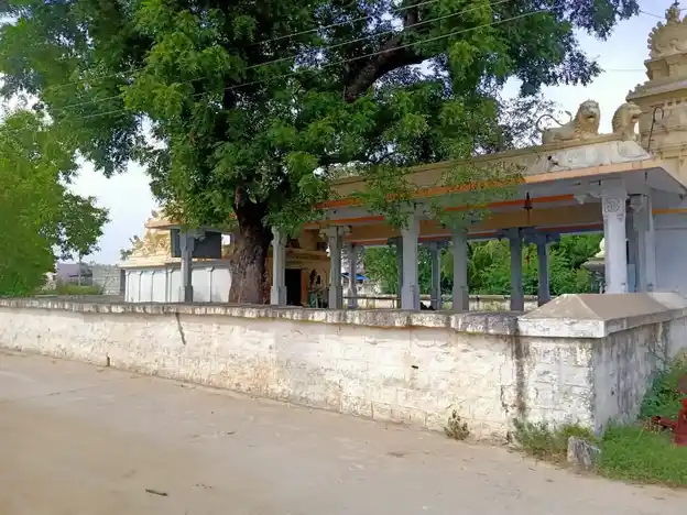 Arulmigu Ammachar Temple, S Velavetti - 606806
