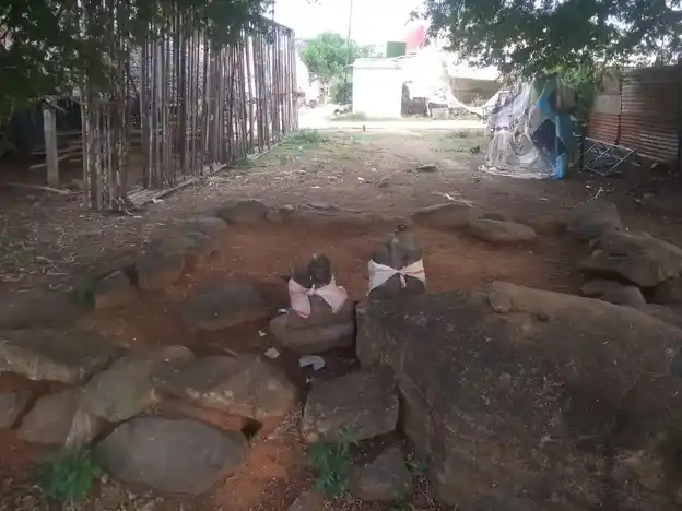 Arulmigu Ammachar Vagaiyara, Valiyapakkam - 606753 அருள்மிகு அம்மச்சார் வகையறா திருக்கோயில், Valiyapakkam - 606753, Tiruvannamalai - Ancient Temple Architecture and History Image 7