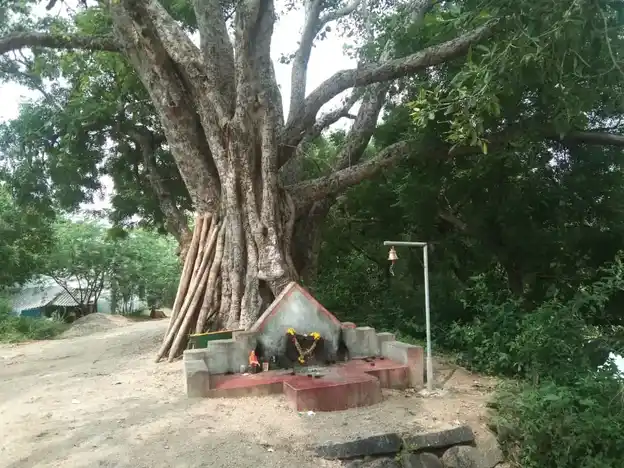 Arulmigu Ammacharamman Temple, Aasur - 605652 அருள்மிகு அம்மச்சாரம்மன் திருக்கோயில், Aasur - 605652, Viluppuram - Ancient Temple Architecture and History Image 4