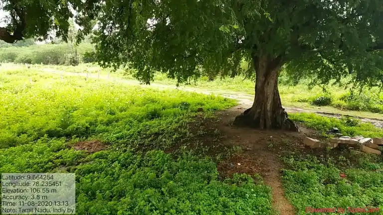 Arulmigu Ammachiar Temple, Ananjiyur - 625020