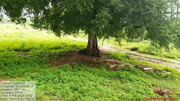 Arulmigu Ammachiar Temple, Ananjiyur - 625020 அருள்மிகுஅம்மச்சியார் கோயில், Ananjiyur - 625020, Madurai - Ancient Temple Architecture and History Image 4