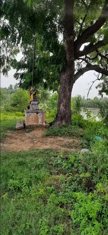 Arulmigu Ammachiar Temple, Kodimangalam - 625107 அருள்மிகு அம்மச்சியார் திருக்கோயில், Kodimangalam - 625107, Madurai - Ancient Temple Architecture and History Image 4