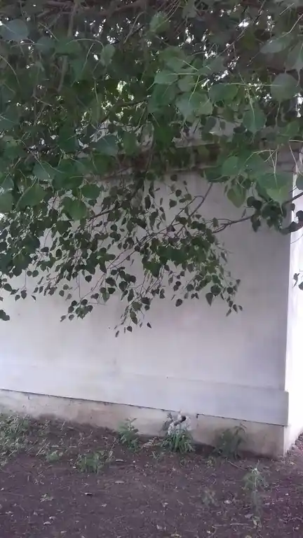 Arulmigu Ammachiar Temple, Thenkarai - 626136 அருள்மிகு அம்மச்சியார் அம்மன் திருக்கோயில், தென்கரை - 626136, Virudhunagar - Ancient Temple Architecture and History Image 2