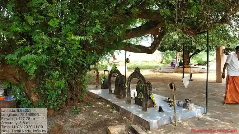 Arulmigu Ammachiar Temple, Vandiur - 625020 அருள்மிகு அம்மச்சியார் கோயில், Vandiur - 625020, Madurai - Ancient Temple Architecture and History Image 4