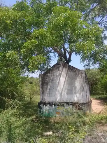 Arulmigu Ammachiyamman Temple, Perunkudi - 630553 Arulmigu Ammachiyamman Temple, Perunkudi - 630553, Sivagangai - Ancient Temple Architecture and History Image 4