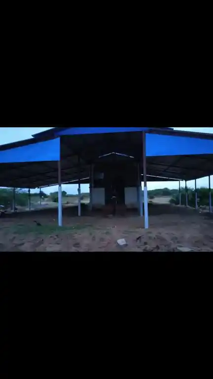 Arulmigu Ammachiyamman Temple, Senkaththankudi - 630001 Arulmigu Ammachiyamman Temple, Senkaththankudi - 630001, Sivagangai - Ancient Temple Architecture and History Image 3