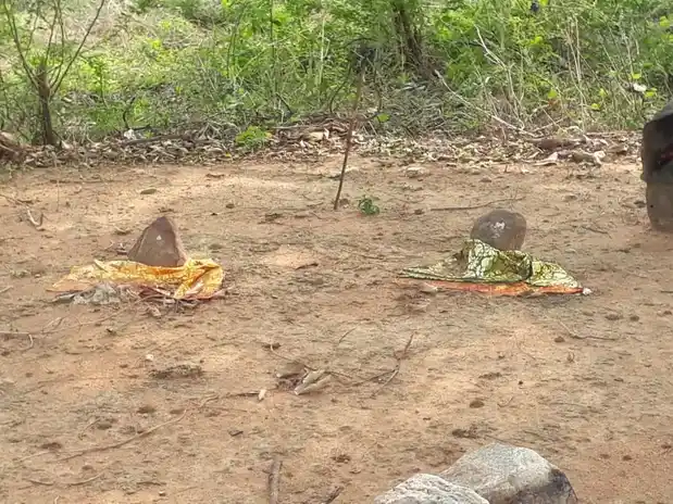 Arulmigu Ammachiyar @ Muppidathiamman Temple, Thiruppani Nellaiya Puram - 627012 அருள்மிகு அம்மச்சியார் என்ற முப்புடாதியம்மன் திருக்கோயில், திருப்பணிநெல்லையாபுரம் - 627012, Tirunelveli - Ancient Temple Architecture and History Image 4