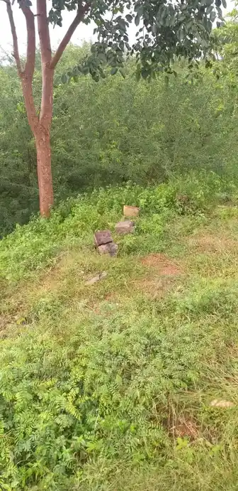 Arulmigu Ammachiyar Temple, Jothimanikkam - 625514 அருள்மிகு அம்மச்சியார் திருக்கோயில், Jothimanikkam - 625514, Madurai - Ancient Temple Architecture and History Image 3