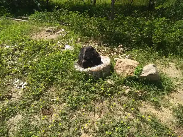 Arulmigu Ammachiyar Temple, Karadikal - 625706 அருள்மிகு அம்மச்சியார் திருக்கோயில், Karadikal, Karadikal - 625706, Madurai - Ancient Temple Architecture and History Image 4