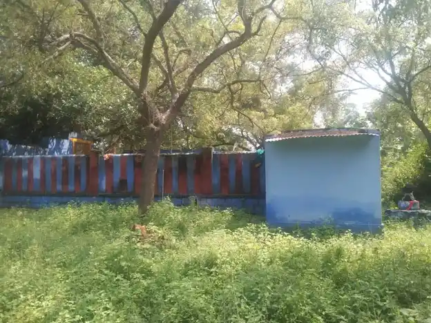 Arulmigu Ammachiyar Temple, Maharajapuram, Maharajapuram - 626127 அருள்மிகு அம்மச்சியார் திருக்கோயில், மகாராஜபுரம், மகாராஜபுரம் கிராமம் - 626127, Virudhunagar - Ancient Temple Architecture and History Image 7