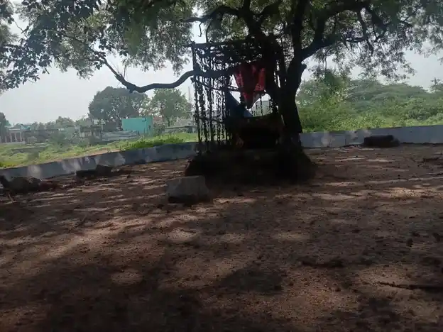 Arulmigu Ammachiyar Temple, Peikulam - 625706 Arulmigu Ammachiyar Temple, Peikulam - 625706, Madurai - Ancient Temple Architecture and History Image 2