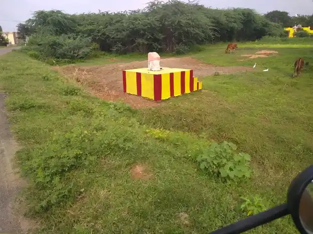 Arulmigu Ammachiyar Temple, Pungangulam - 625706