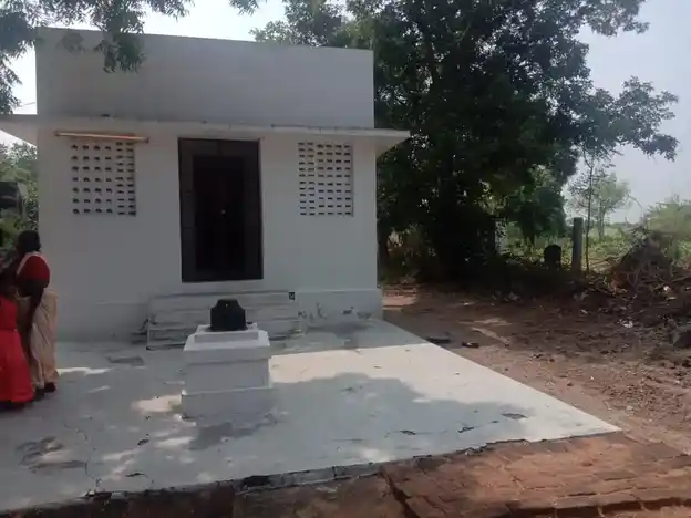 Arulmigu Ammachiyar Temple, Shenampatti - 625706 Arulmigu Ammachiyar Temple, Shenampatti - 625706, Madurai - Ancient Temple Architecture and History Image 3