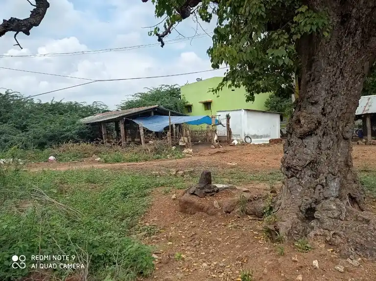 Arulmigu Ammachiyar Temple, T.Paraikulam - 625706 Temple
