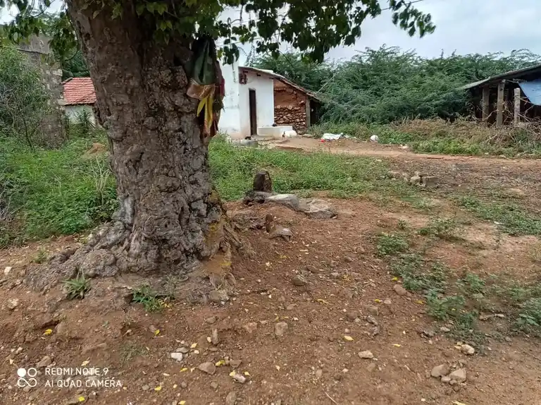 Arulmigu Ammachiyar Temple, T.Paraikulam - 625706 அருள்மிகு அம்மாச்சியார் திருக்கோவில், T.Paraikulam - 625706, Madurai - Ancient Temple Architecture and History Image 2