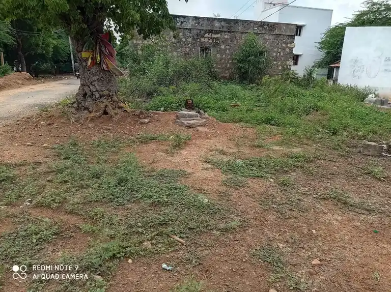 Arulmigu Ammachiyar Temple, T.Paraikulam - 625706 அருள்மிகு அம்மாச்சியார் திருக்கோவில், T.Paraikulam - 625706, Madurai - Ancient Temple Architecture and History Image 3
